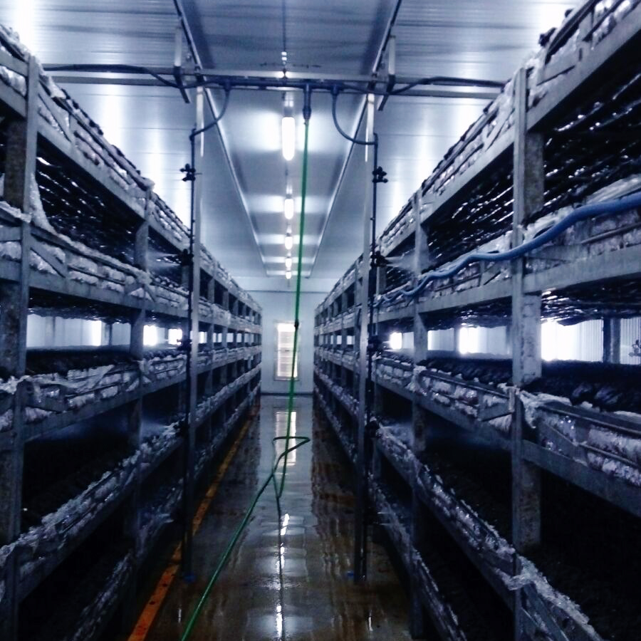 Interior de nave de producci&oacute;n agroalimentaria en Castilla-La Mancha